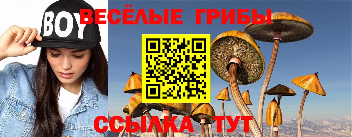 Псилоцибиновые грибы прущие грибы  Галлюциногенные грибы Psilocybe  Вход с VPN  Новочеркасск 